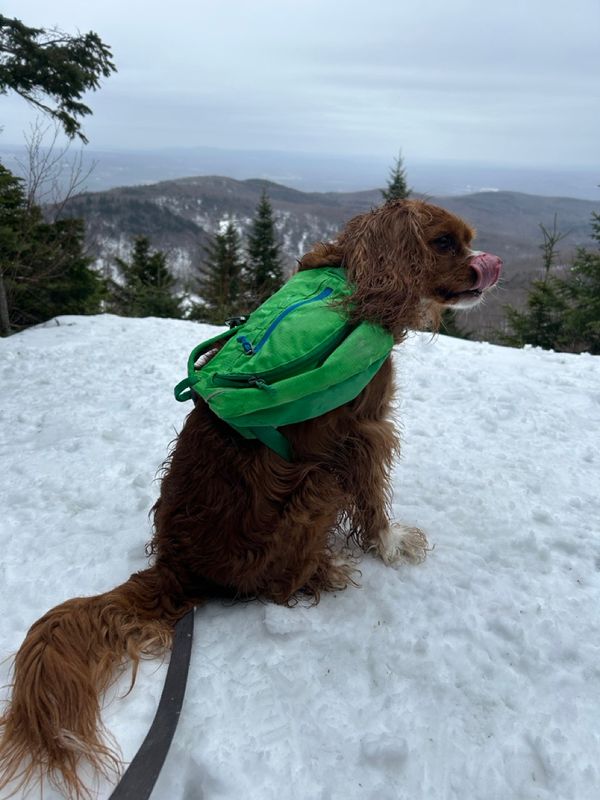 Sentiers de l'Estrie - Mount Chapman